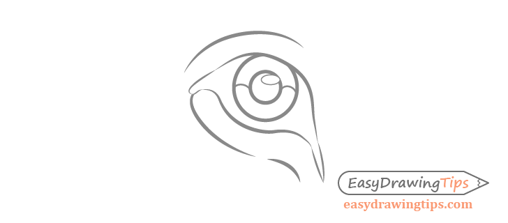 Lion eye details drawing