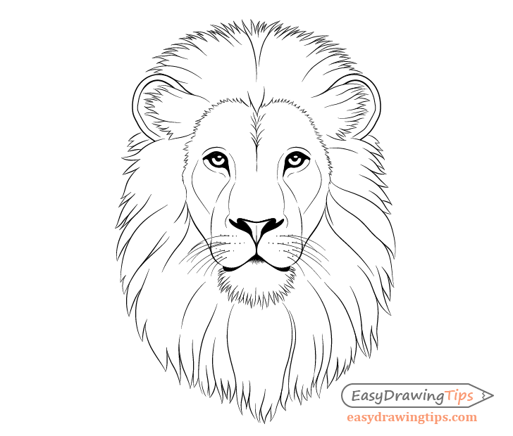 How to Draw Lion Face & Head Step by Step - EasyDrawingTips