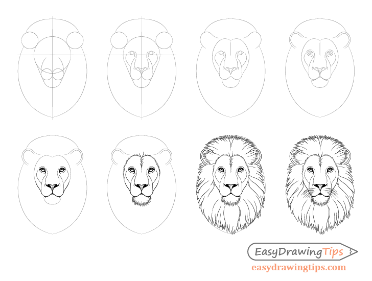 How to Draw Lion Face & Head Step by Step - EasyDrawingTips