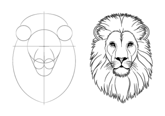 Lion face drawing tutorial
