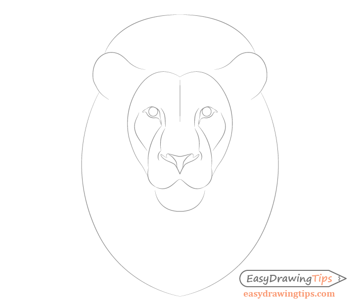 How To Draw a Lion - EASY Drawing Tutorial!