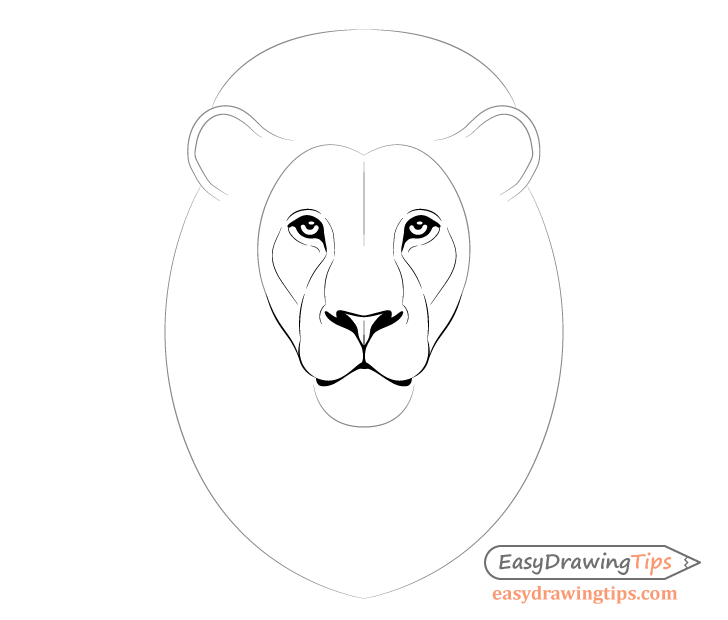 Lion facial features details drawing