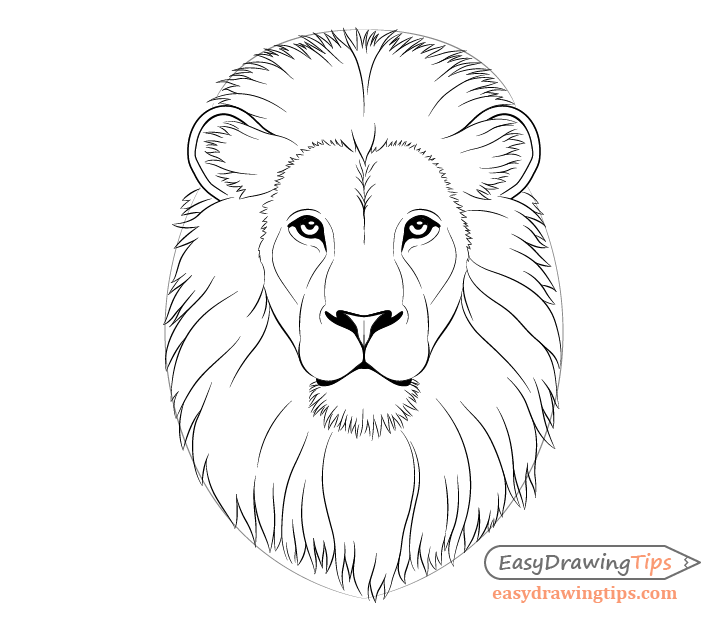 realistic lion drawing step by step