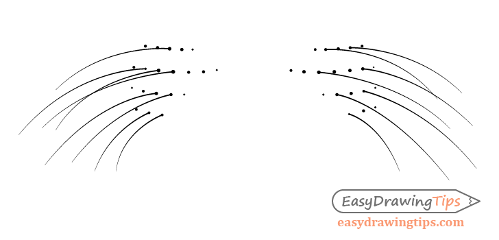 Lion whiskers drawing