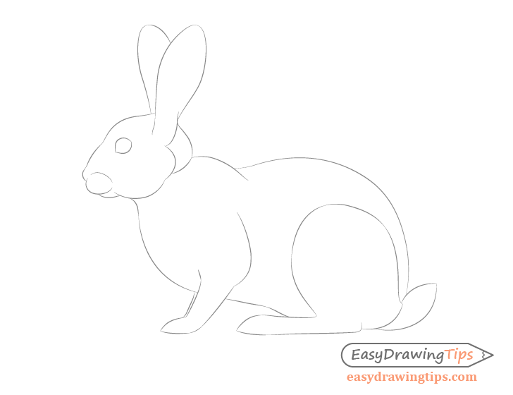 Rabbit outline drawing