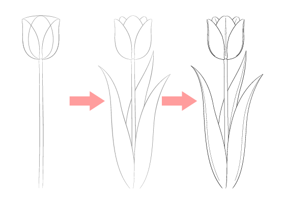 Easy Tulip Drawing Step By Step Easydrawingtips