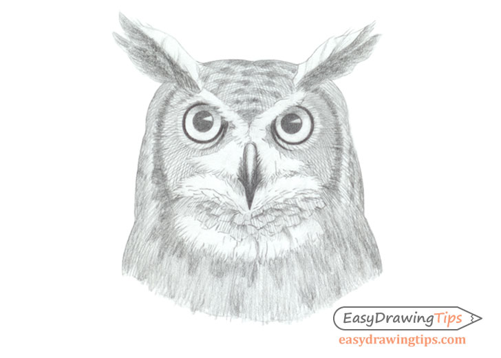 How to Draw a Owl for Children - A Step-by-Step Guide With Pictures