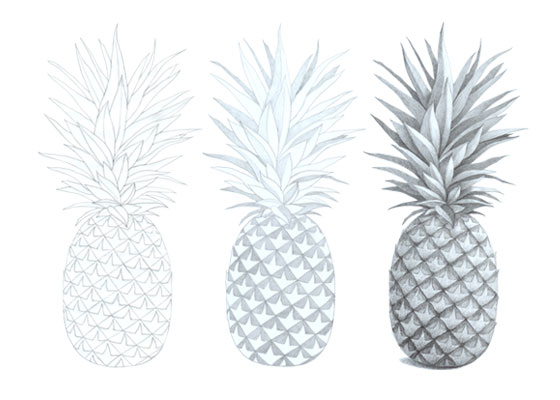 Pineapple drawing tutorial