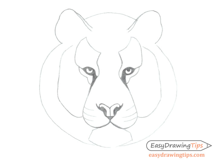 Tiger face basic line drawing