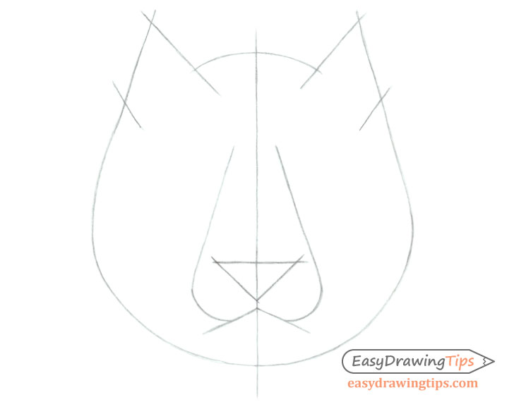 Tiger face drawing construction lines