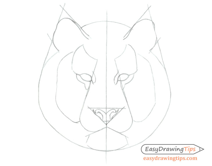 Tiger Face Drawing  Pencil sketch of a tiger a cute  powerful cat