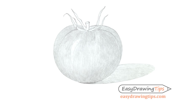 Tomato drawing basic shading