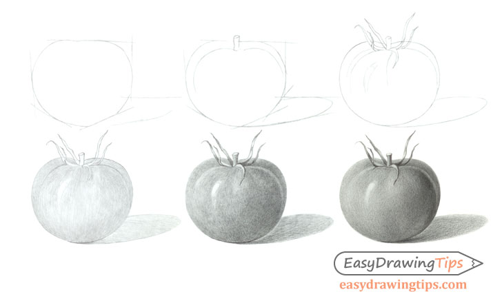 Tomato drawing step by step