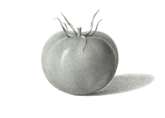 Tomato sketch  Fruit art drawings Pencil sketch images Vegetable drawing