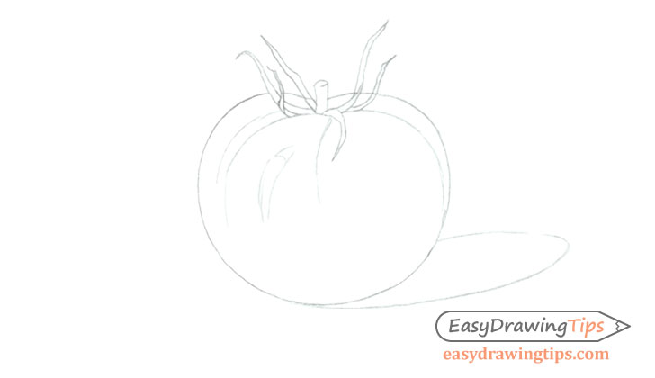 Tomato line drawing