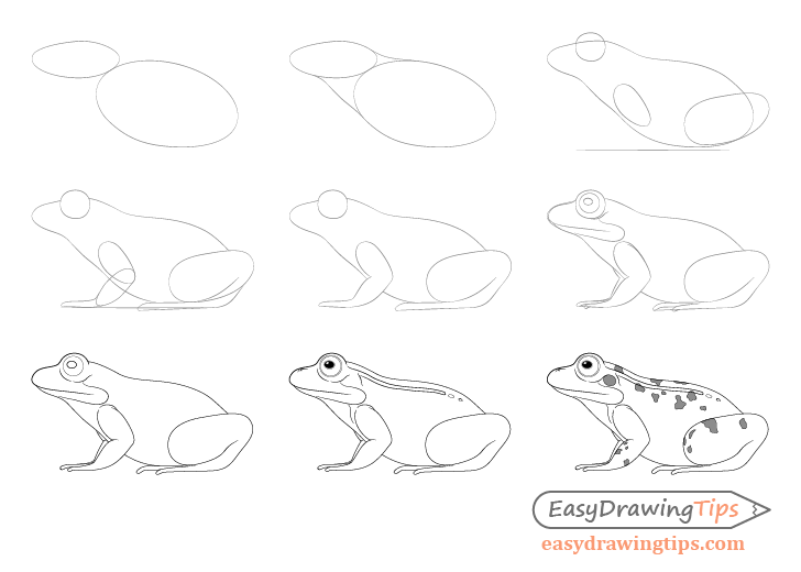 how to draw a cute frog step by step