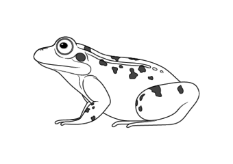 Frog drawing tutorials