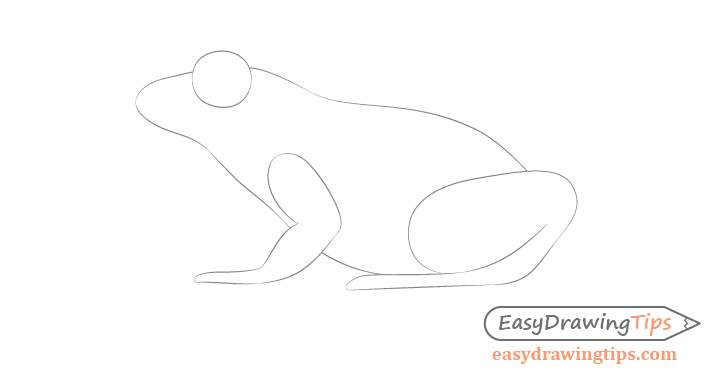 Frog full body basic drawing