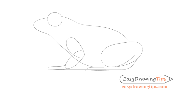 How to Draw a Frog Step by Step Tutorial - EasyDrawingTips