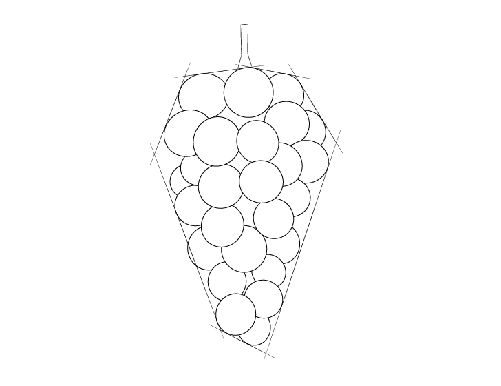 How to Draw a Grapevine 