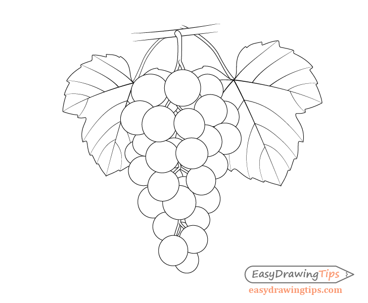 How To Draw A Vine Tree - Deferias Wallpaper