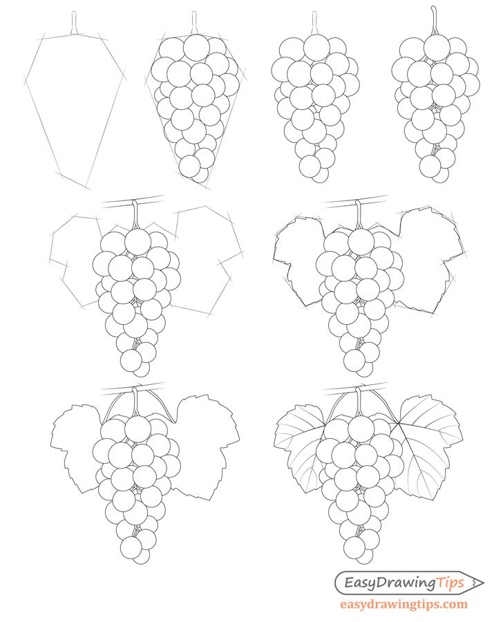 Grape Bunch Sketch Big Stock Illustration - Download Image Now - Grape,  Drawing - Activity, Vine - Plant - iStock