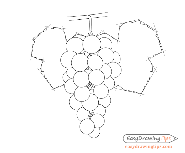 How To Draw Grapes Step By Step