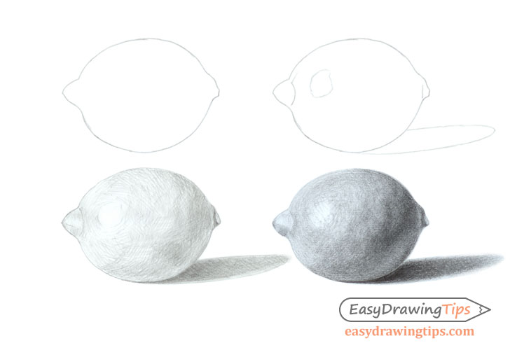 Lemon drawing step by step