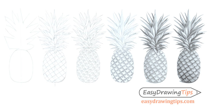 Pineapple drawing step by step