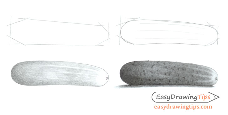 Cucumber drawing step by step