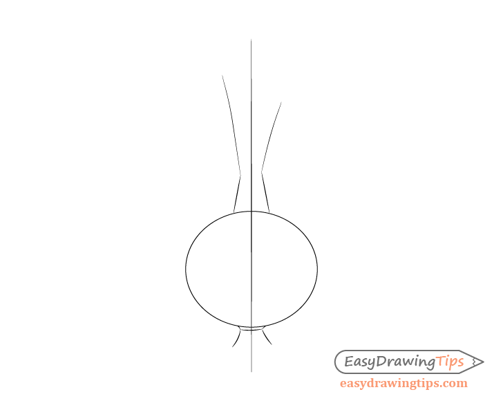 Onion construction line drawing