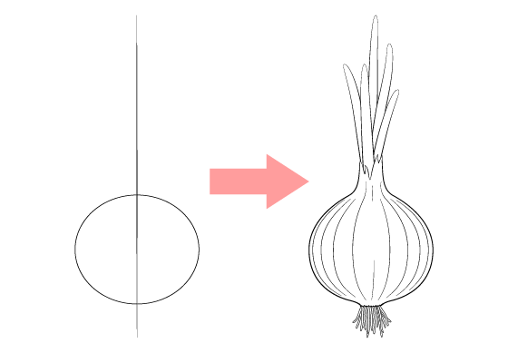 Vector Set of Onion Sketch Illustrations | Onion drawing, Vector sketch,  Illustration