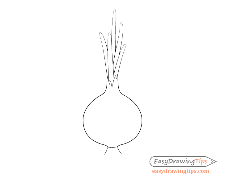 Onion leaves drawing
