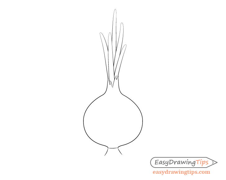 Onion outline coloring pages