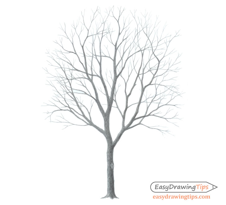 Tree Sketch Stock Photos and Images - 123RF