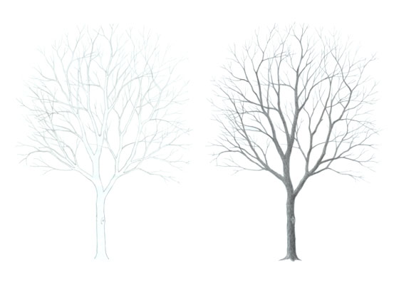 Tree drawing tutorial
