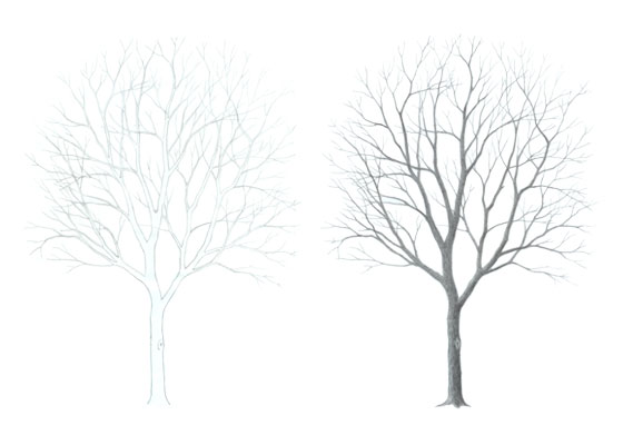 70 Tree Drawings to Spark Your Creativity  Beautiful Dawn Designs