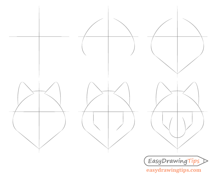 Wolf basic face shape step by step drawing