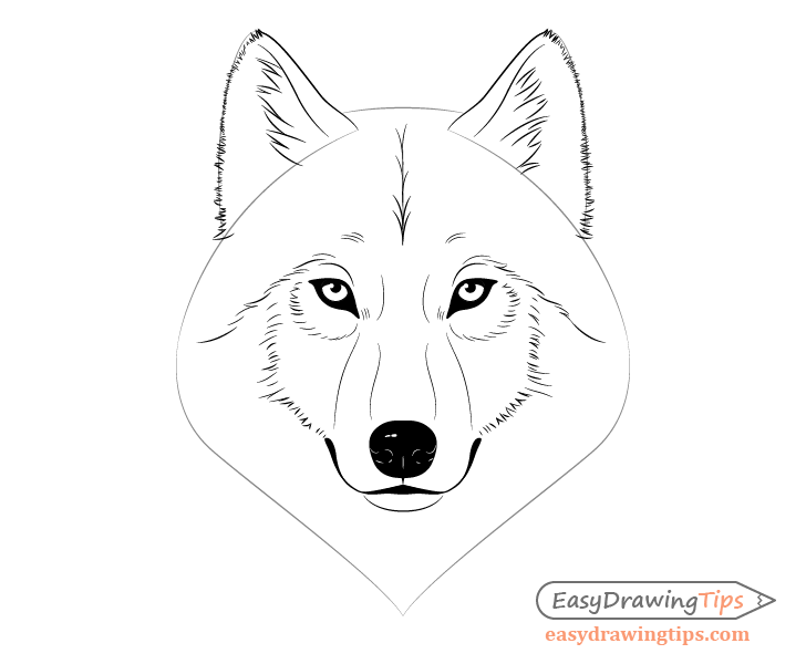 Wolf face ears drawing