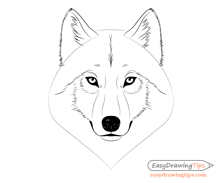 Featured image of post Easy Animal Drawings Wolf / 129 free vector graphics of wolf.