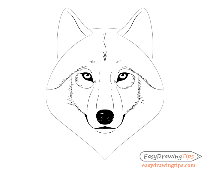 How To Draw A Wolf Face Head Step By Step Easydrawingtips