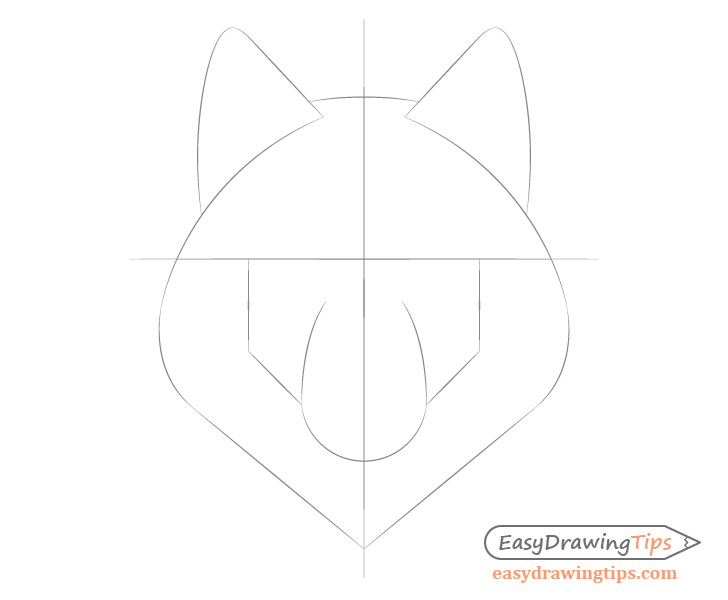 Wolf face proportions drawing