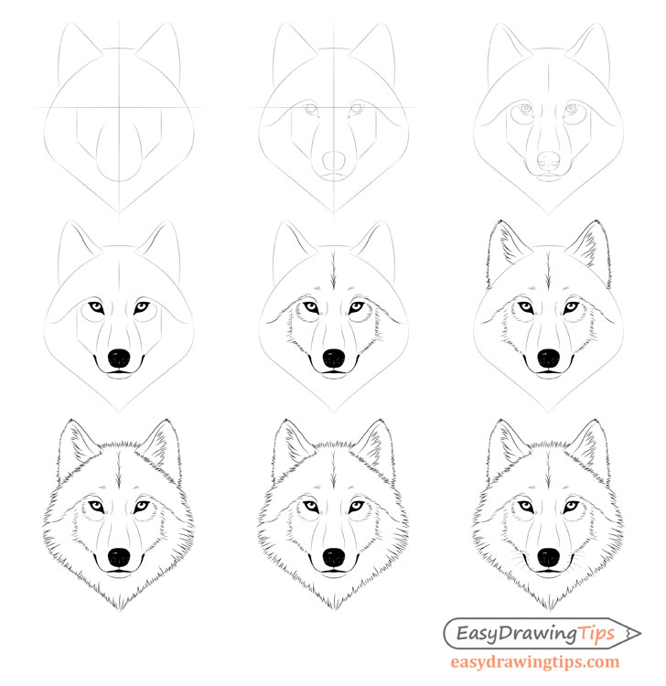 Wolf face step by step drawing