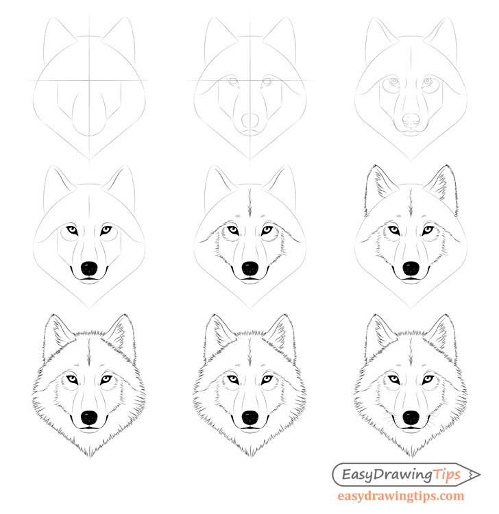 How to Draw a Wolf Face  YouTube