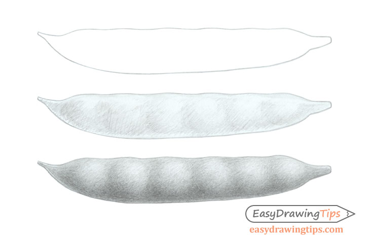 Bean pod drawing step by step