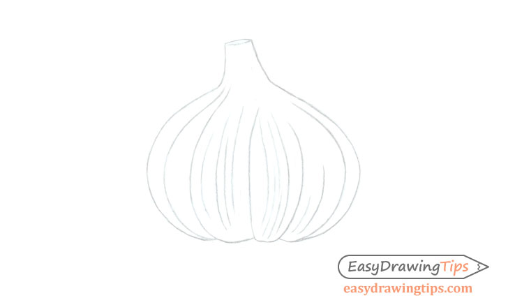 Garlic basic line drawing