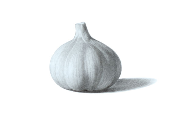 Garlic drawing tutorial