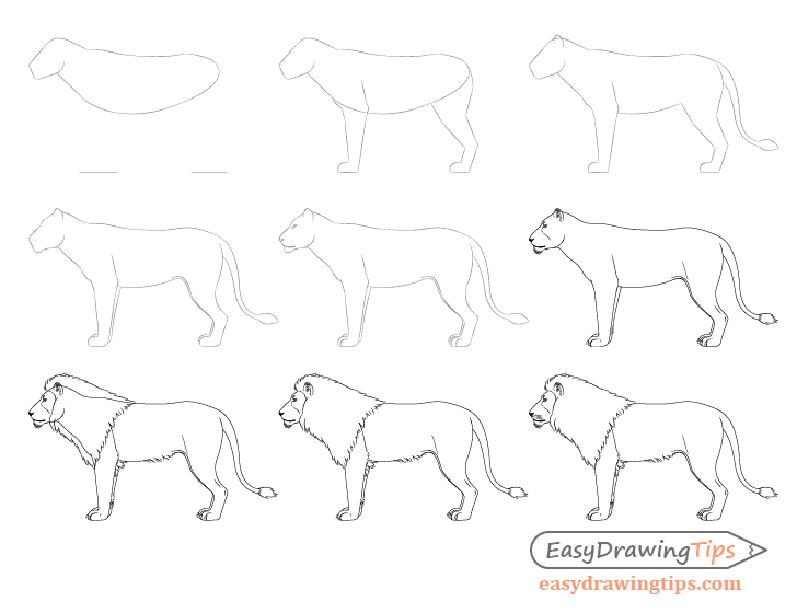 How to Draw a Young Girl in 12 Steps (With Proportions) - EasyDrawingTips