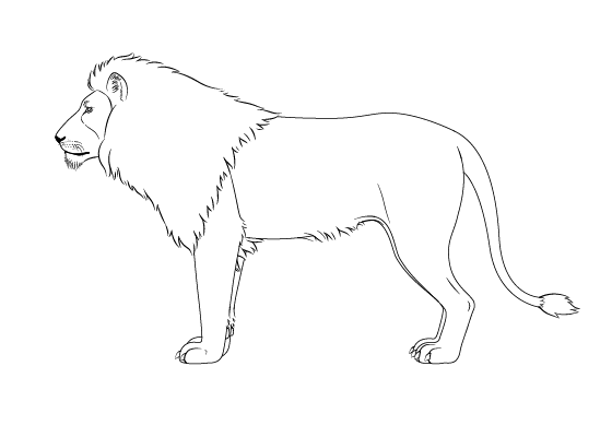 Lion drawing tutorial