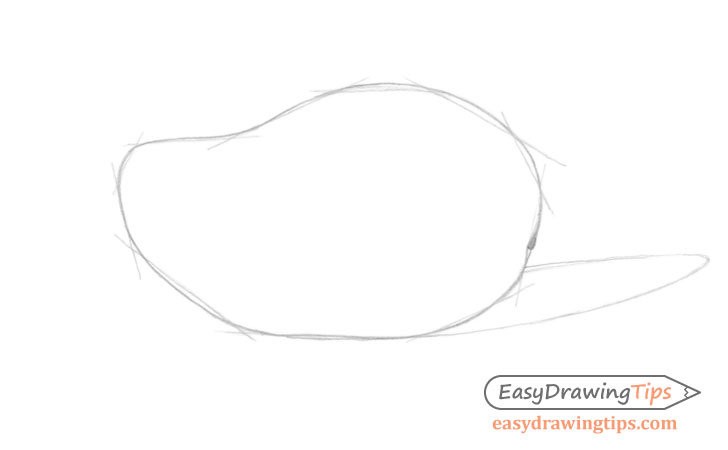 Mango line drawing with construction lines